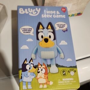 Hide & Seek Game - Blue